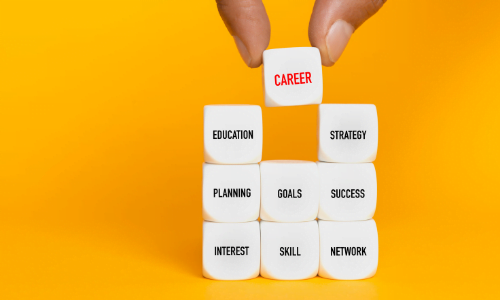 Career strategy diagram